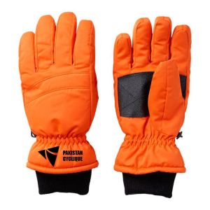 Ski & Snow Boarding Gloves